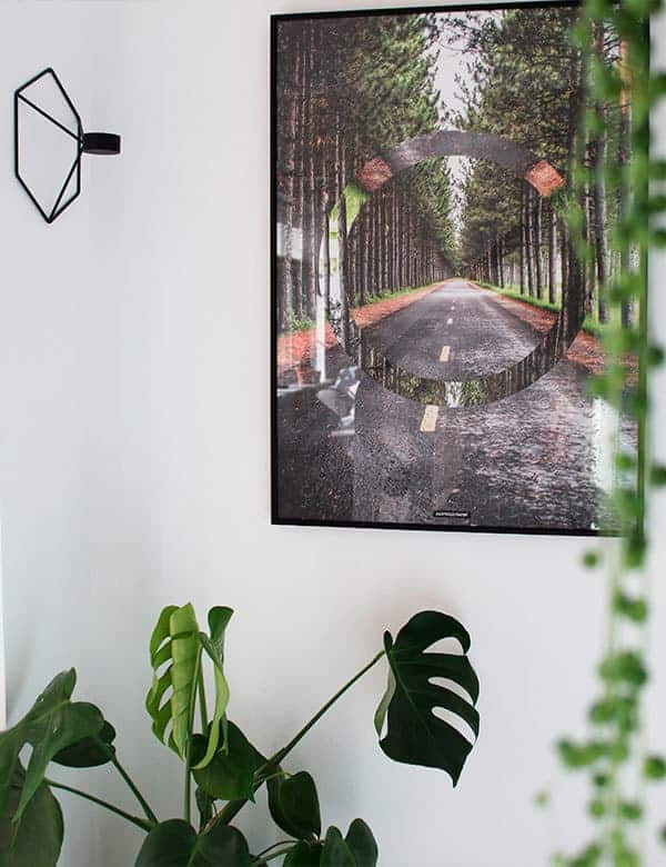 Grøn natur skov plakat - The Forest