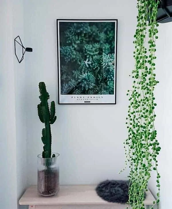 Morganianum plakat