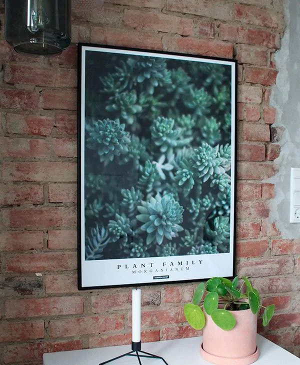 Morganianum Plakat