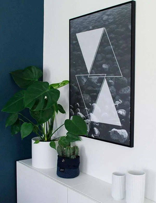 Sort hvid geometrisk natur - Triangle Water plakat