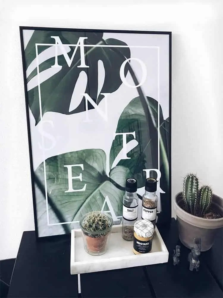 monstera plante fotokunst plakat med tekst
