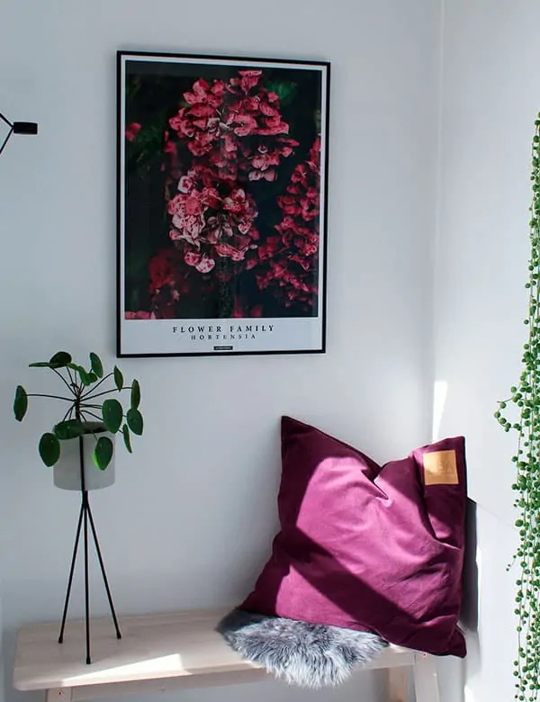 Blomster plakat - Hortensia plakat