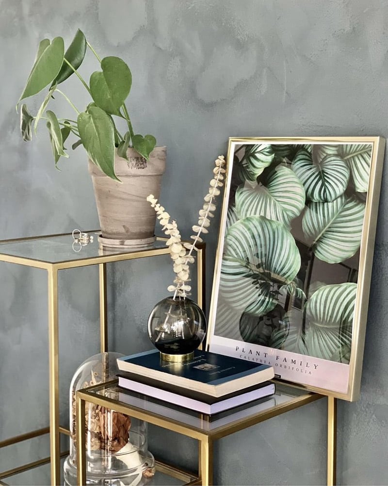 Calathea Orbifolia plakat med guld ramme