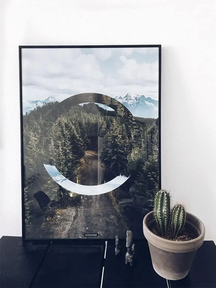 Grafisk natur fotokunst plakat