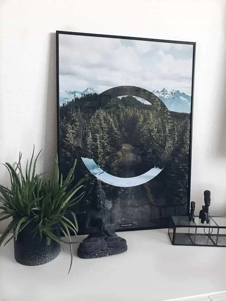 Grafisk natur fotokunst plakat