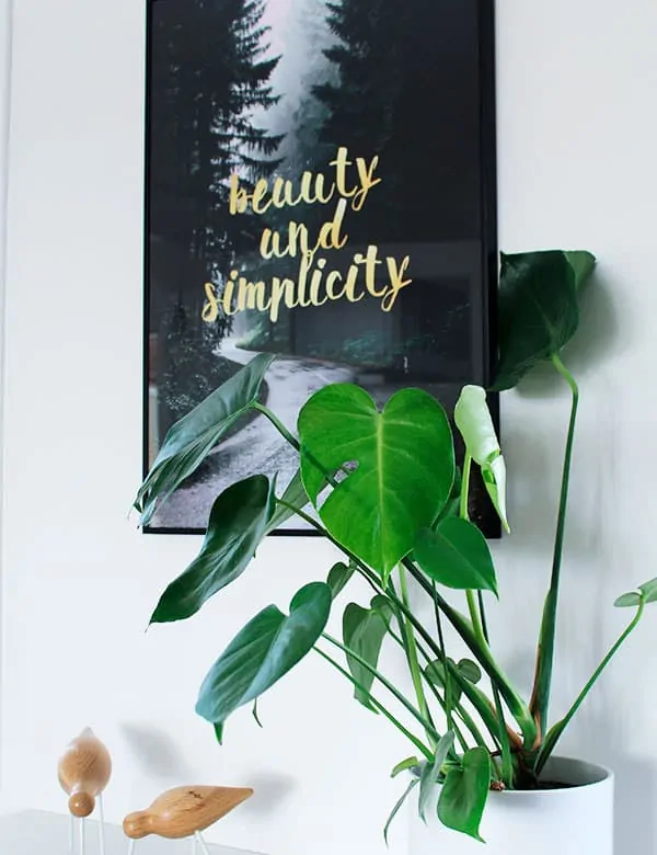 Grafisk natur plakat med guld tekst - Simplicity plakat