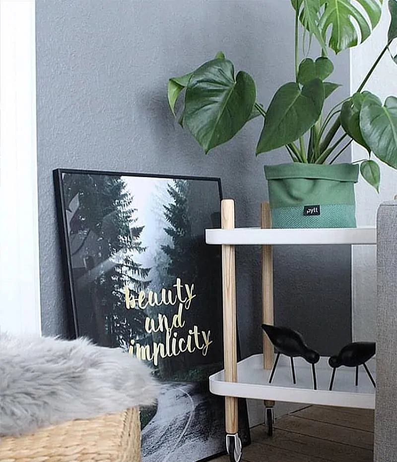 simplicity plakat - natur, tekst og guld