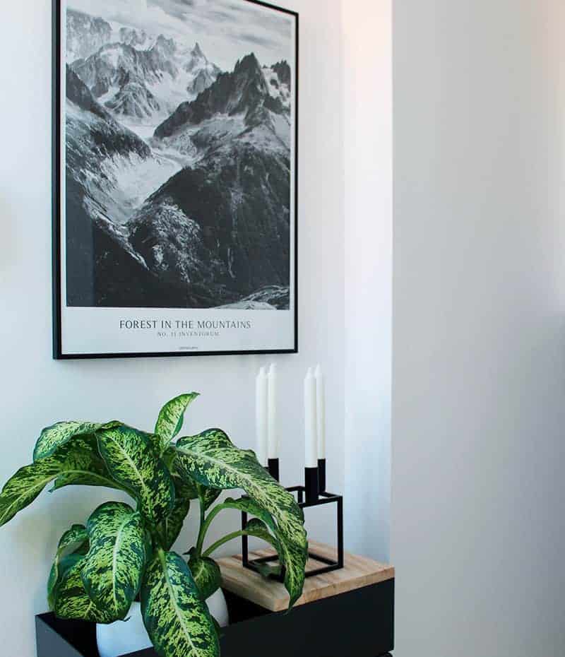 forest-in-the-mountains-sort-hvid-plakat Forest In The Mountains plakat - sort hvid
