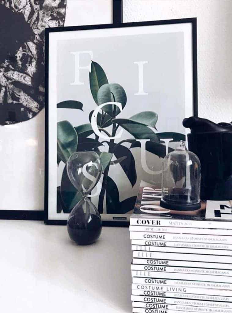groen-botanisk-plante-ficus-elastica-plakat Grøn plante billede - Ficus Elastica plakat
