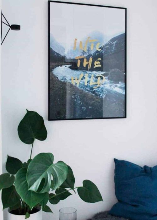 natur-tekst-into-the-wild-plakat Fotokunst natur billede med guld tekst - Into The Wild plakat