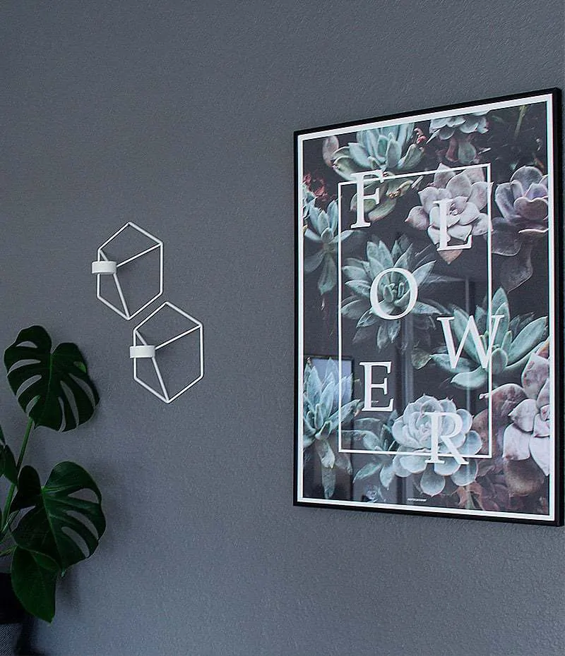 Flower plakat - botanik, planter og blomster