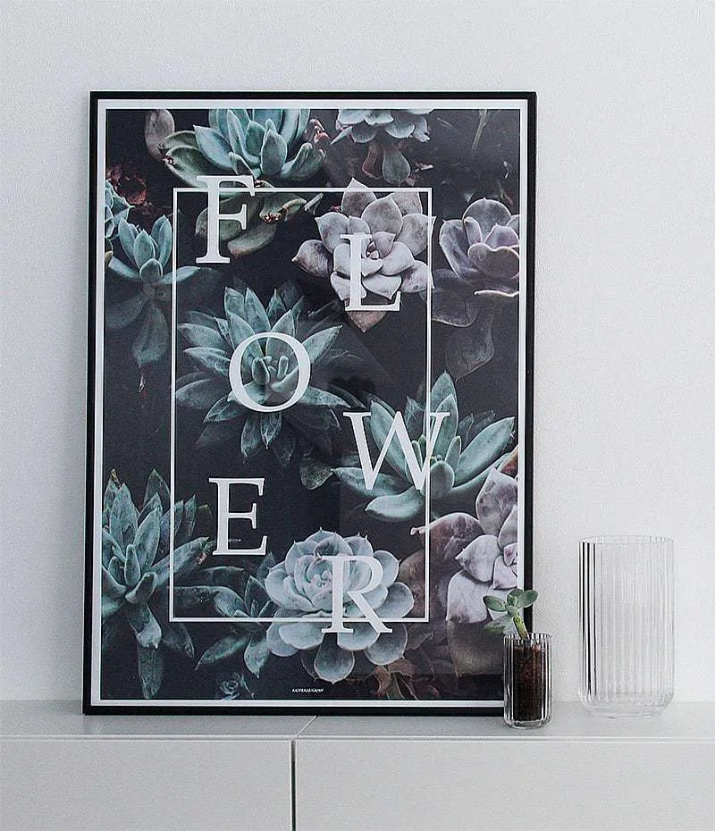 Flower plakat - botanik, blomster og sukkulenter