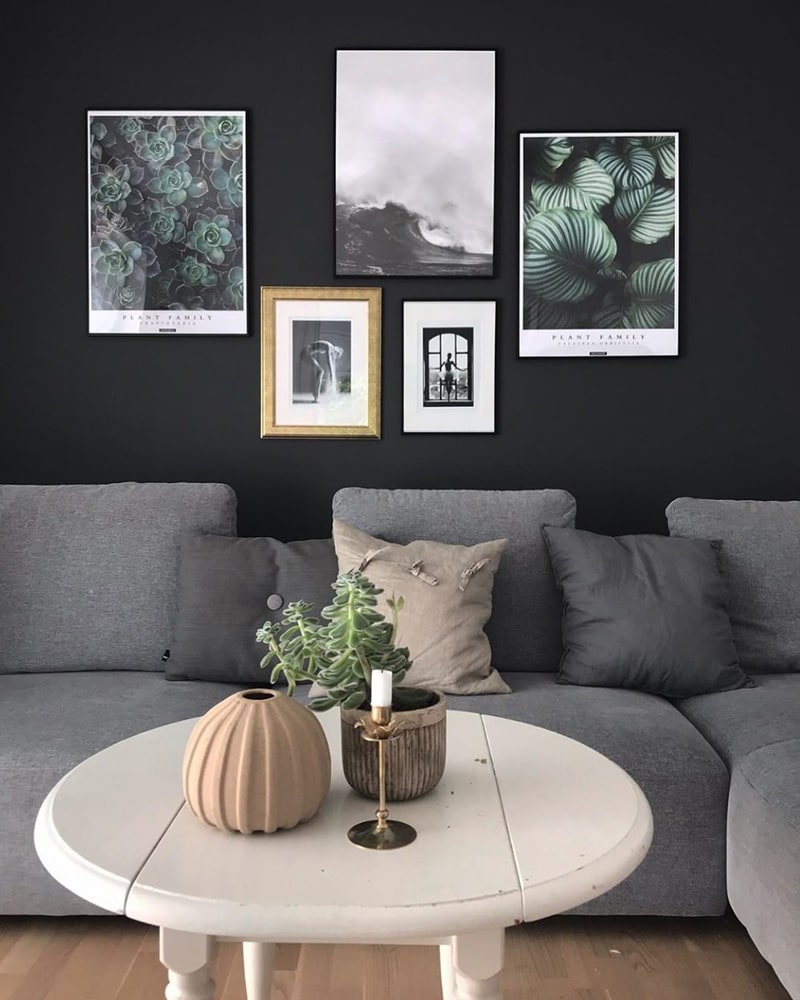 Graptoveria & Calathea Orbifolia plakatsæt - Plante plakater med tekst i billedvæg