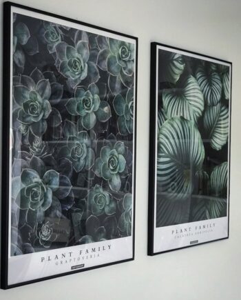Planter