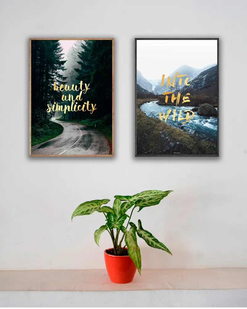 Plakatsæt - Simplicity og Into The Wild