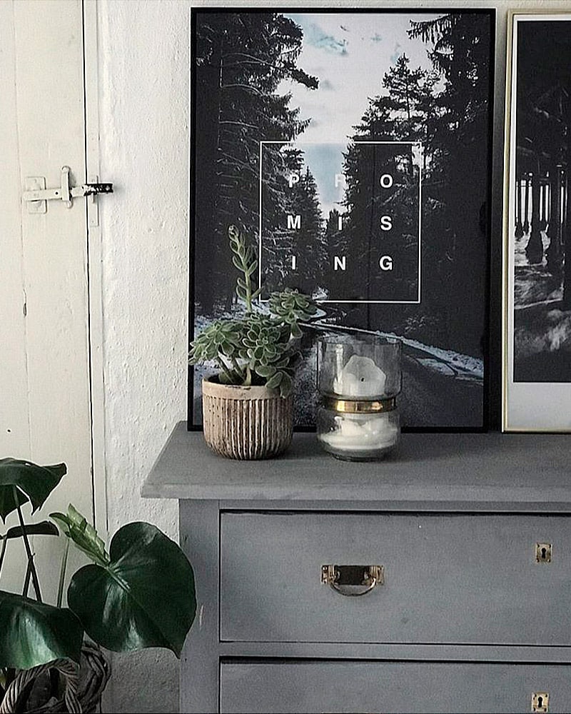Promising plakat - natur og tekst