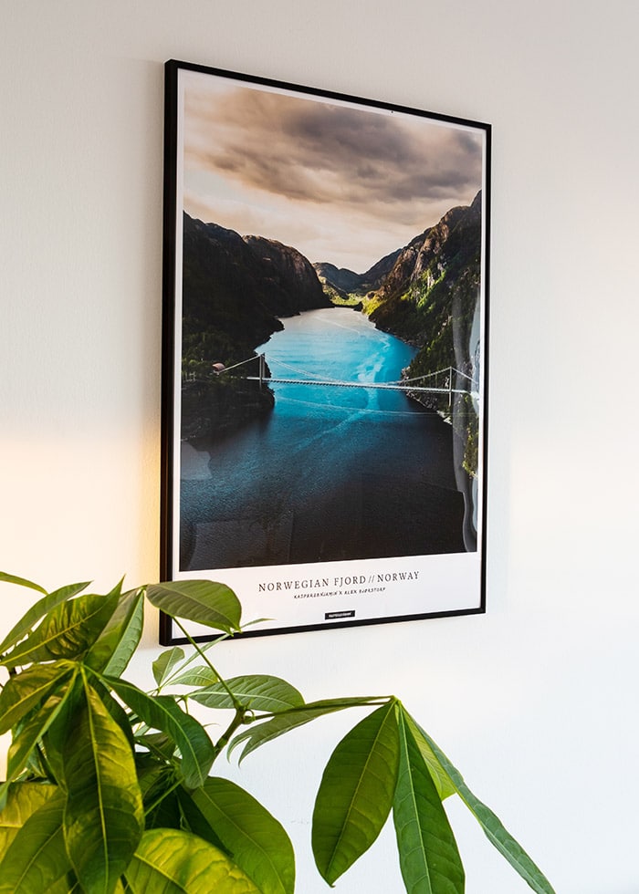 Norwegian Fjord plakat