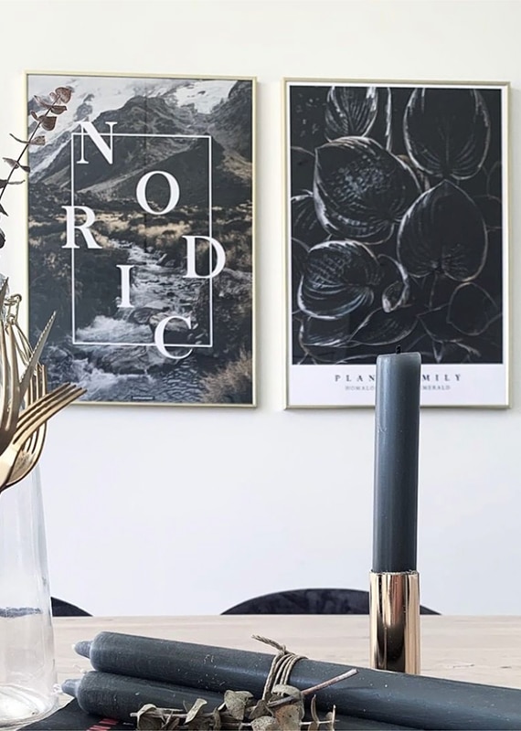 plakatsaet-nordic-homalomena