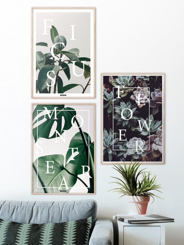 Plakatsæt med 3 plante og blomster plakater