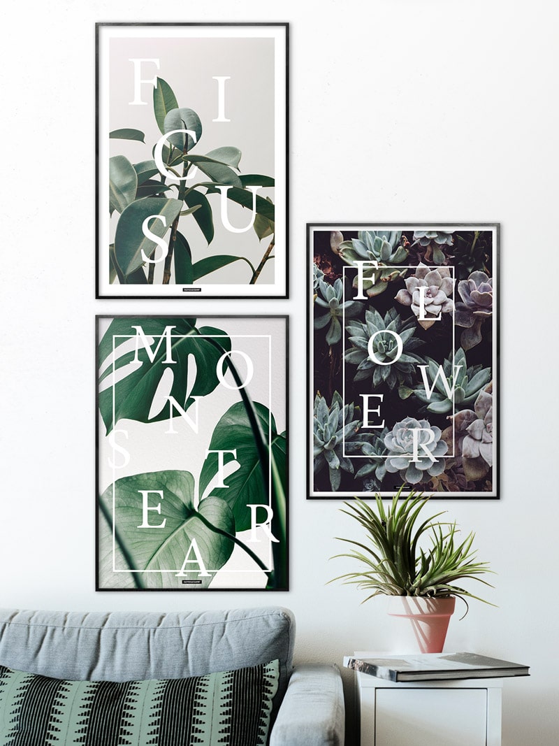 Plakatsæt med 3 plante og blomster plakater