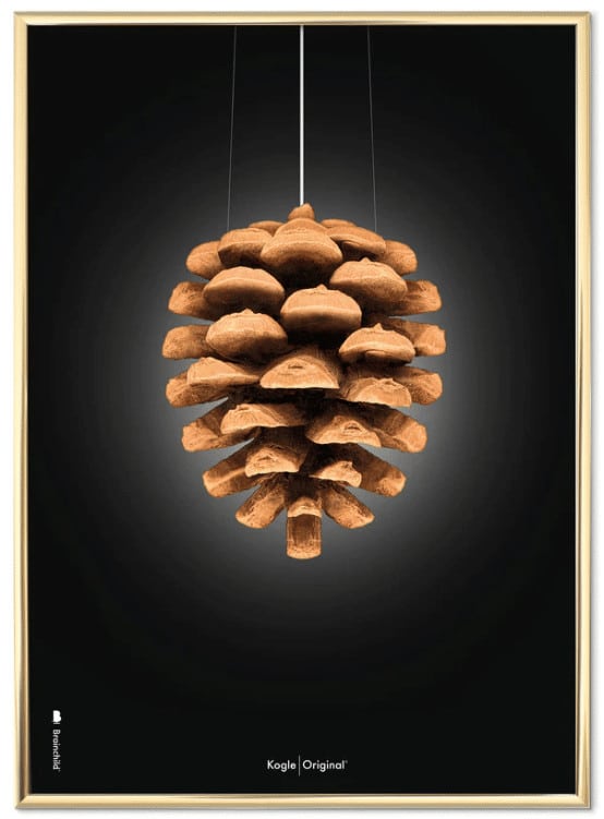 Kogle – Brainchild.dk – plakat