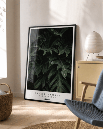 TETRASPERMA plakat i ramme i en lys nordisk solstue med gul skænk, blå stol og naturligt dagslys